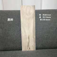 Item thumbnail for item 9e07b5a0-faa5-4e3a-a3e5-387183f1769d