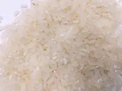 令和7年産　千葉県産　日本米×インディカ米「プリンセスサリー」1kgのサムネイル
