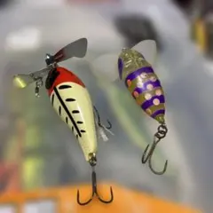 ジャッカル　トップセット
