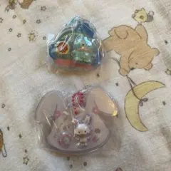 サンリオ　パッケージチャーム　ハンギョドン　ウィッシュミーメル