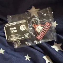 SEVENTEEN MINITEEN キーホルダー ガチャガチャ ウジ