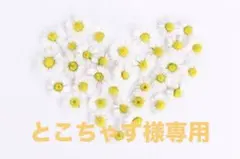 【未使用】田中里奈 コクーンパンツ 中白 M