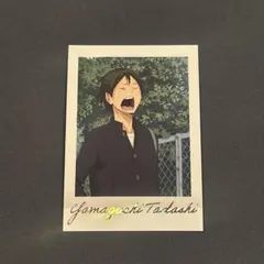 ハイキュー ぱしゃこれ PREMIUM プレミアム 山口忠 山口