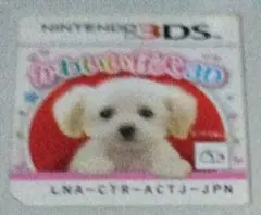 かわいい仔犬3D