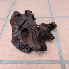 流木　天然流木