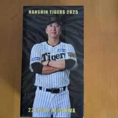希少 未開封 阪神タイガース 西岡剛 ボブルヘッド フィギュア 希少 未開封 阪神タイガース 西岡剛 ボブルヘッド フィギュア
