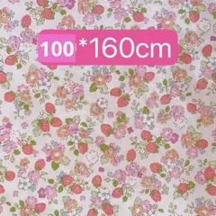 いちごショップ♡デザイン、品質重視です♡様 リクエスト 2点 まとめ商品