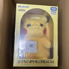 ✟*★様 おうちにポケモン Pikachu ぬいぐるみ