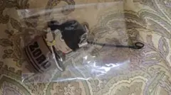 Item thumbnail for item 04ebaed7-febc-4ede-a5f1-808300146abc