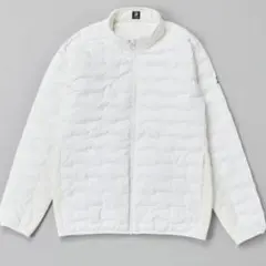 Item thumbnail for item f47ee409-d2eb-4390-9781-d91b64c31fea