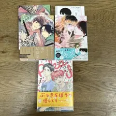 長くも短き恋の話/キスと春雷/ピカピカスローライフ1 リーフレット付