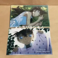 名探偵コナン ポストカード 蘭 コナン