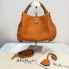 Mulberry マルベリー スモールアイリス 2way バッグ オレンジ 2026年最新】マルベリー バッグ アイリスの人気アイテム - メルカリ