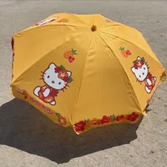 サンリオ ハローキティ ハイビスカス パイナップル トロピカル 2001