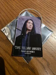 THE YELLOW MONKEY Sparkleの惑星X クリアポスターセット THE YELLOW MONKEY Sparkleの惑星X クリアポスターセット - メルカリ