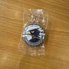 ヒロアカ 常闇踏陰 缶バッジ びっくらポン 未開封 即日発送