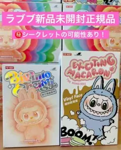 【正規品・未開封】ラブブ BigIntoEnergy&Macaron 2個セット