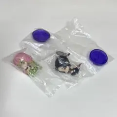 鬼滅の刃　すわらせ隊5　柱合会議　甘露寺蜜璃 胡蝶しのぶ