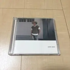 平井大　HOPE / WISH 2枚組CD 結婚式 ベスト