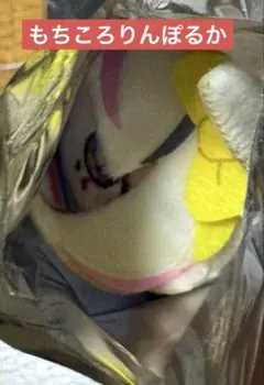 麻糬滾滾 虛擬吊飾 2026 尾丸波爾卡