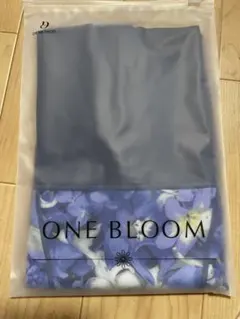 Item thumbnail for item 1f44eb6f-3ee2-44e3-85ac-ccfc7d28083d