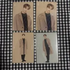 2020 winterディノ トレカ