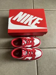 Item thumbnail for item 51b97286-3b22-473e-b9ef-b7f720f32edb