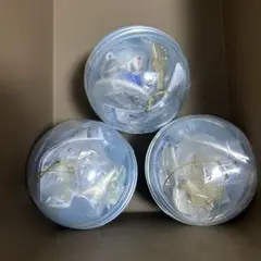 Item thumbnail for item 343ee02b-ac95-458e-a09b-4a82772e3285