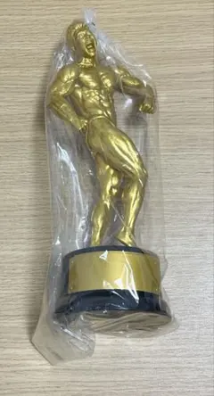 なかやまきんに君　ゴールド　フィギュア