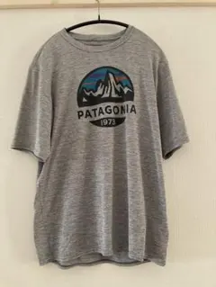 patagonia CAPILENE COOL DAILY Tシャツ S グレー
