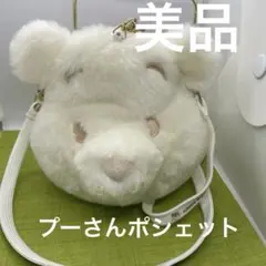 ディズニーリゾート　くまのプーさん　ホワイト　パスケース　ポシェット　★美品★