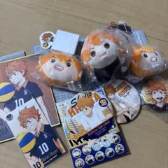 日向翔陽 まとめ売り