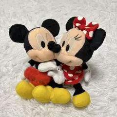 【東京ディズニーリゾート限定】ミッキー＆ミニー ペアぬいぐるみ