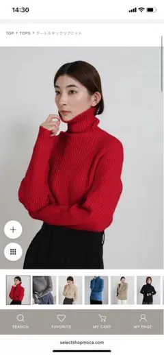 セレクトモカ　タートルネックリブニット