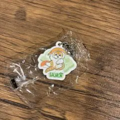 くら寿司　mofusand モフサンド　サーモン　ラバーチャーム