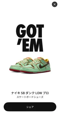 Nike SB Dunk Low Pro 