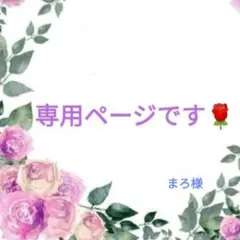 まろ様専用ページです♪蝶々コネクターとウェーブステックの