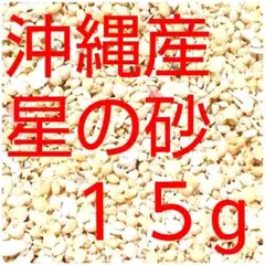 沖縄県産 星の砂 ［星砂］