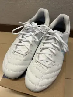 DS LIGHT JR GS 23.0㎝ 新品未使用品ゼログライドシューレース