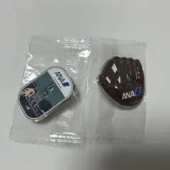2025年最新】ana ピンバッチの人気アイテム - メルカリ
