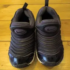 Nike ダイナモ フリー 19.5cm