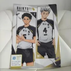 ハイキュー‼︎ 木兎光太郎 赤葦京治 クリアファイル 梟谷