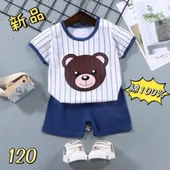 ✰新品✰キッズ 半袖Tシャツ&半パンツ上下セット 綿100 熊柄 120