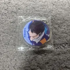 劇場版 Free!TM約束 山崎宗介 スタンドアクリルチャーム アクリル