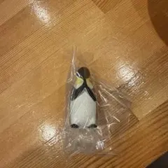 合掌 水拝 ペンギン