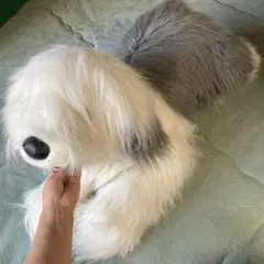 2026年最新】オールド イングリッシュ シープドッグの人気アイテム