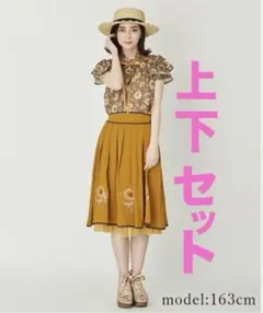 シークレットハニー⭐︎バースデーアナ☆エルサのサプライズ