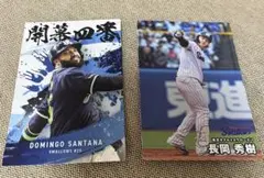 東京ヤクルトスワローズ 選手カードセット 2025