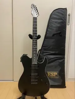 希少 動作品 History エレガットクラシックギター HEG120 日本製