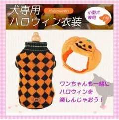 犬服セーター ドッグウェア 秋冬用 ハロウィン かぼちゃ Sサイズ パンプキン